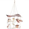 Floristik24 Wind chime shell decoration for hanging H80cm