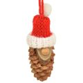 Floristik24 Christmas tree decoration gnome cone gnome red 9cm 12pcs