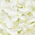 Floristik24 Decorative Hydrangea Artificial White Snowball Hydrangea 65cm