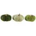 Floristik24 Decorative pumpkins made of fabric velvety green Ø7cm H4.5cm 9 pcs