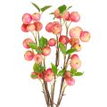 Floristik24 Decorative branches ornamental apple yellow/red autumn winter L58cm 3 pcs