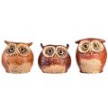 Floristik24 Charming ceramic owl figurines in a set of 3 – Detailed design in brown and cream, 10.5 cm – Perfect decoration for living and working spaces
