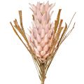 Floristik24 Exotic artificial flower pink large pineapple blossom 74cm