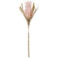 Floristik24 Exotic artificial flower pink large pineapple blossom 74cm