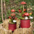Floristik24 Fly agarics on a stick, red, 5.5cm - Decorative autumn mushrooms for garden and home 6 pieces