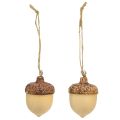 Floristik24 Acorn for hanging decoration autumn natural/brown 5.3x3.5cm 12 pieces