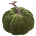 Floristik24 Autumn decoration pumpkin light green dark green Ø13cm 3 pcs