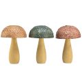Floristik24 Wooden mushrooms decoration mushrooms autumn decoration wood assorted 11×7.5cm 3pcs