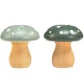 Floristik24 Wooden mushrooms decorative mushrooms wooden toadstools green mint 5cm 8pcs