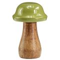 Floristik24 Wooden mushrooms decorative mushrooms wood grey green Ø6cm H10cm 2pcs