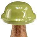 Floristik24 Wooden mushrooms decorative mushrooms wood grey green Ø6cm H10cm 2pcs