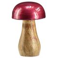 Floristik24 Wooden mushrooms decorative mushrooms wood red gloss Ø6cm H10cm 2pcs