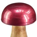 Floristik24 Wooden mushrooms decorative mushrooms wood red gloss Ø6cm H10cm 2pcs