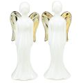 Floristik24 Angel figurines ceramic angel white gold 6cmx5cmx15cm 2pcs