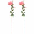 Floristik24 Artificial Dahlias in Peach Pink Ø10cm L80cm 2pcs