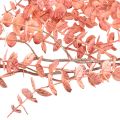 Floristik24 Artificial Eucalyptus Hanging Pink Artificial Plant Autumn 150cm