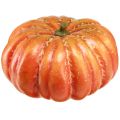 Floristik24 Artificial pumpkin in orange artificial vegetable autumn Ø25cm