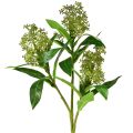 Floristik24 Artificial Flowers Green Skimmia japonica Skimmie 45cm 2pcs