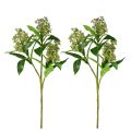 Floristik24 Artificial Flowers Green Skimmia japonica Skimmie 45cm 2pcs