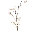 Floristik24 Artificial Branch Autumn Heuchera Artificial Brown Cream L85cm