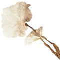 Floristik24 Artificial Branch Autumn Heuchera Artificial Brown Cream L85cm