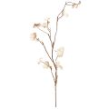 Floristik24 Artificial Branch Autumn Heuchera Artificial Brown Cream L85cm