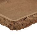 Floristik24 Oasis Biolit Base ½ Floral Foam Brick 13×13×2cm 12 pcs