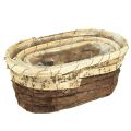 Floristik24 Plant tub wood natural 3-coloured L29.5/25/23cm set of 3