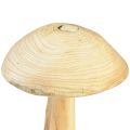 Floristik24 Lifelike mushroom sculpture made of elm wood – Rustic design, 37 cm – Stylish garden and interior decoration