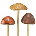 Floristik24 Decorative mushrooms on stick, brown, 5.5 cm, 6 pieces - Autumnal garden and living room decoration