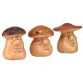 Floristik24 Happy mushroom figures with faces – Various shades of brown, 6.5 cm – Funny decoration for garden and home – 3 pieces