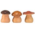 Floristik24 Happy mushroom figures with faces – Various shades of brown, 6.5 cm – Funny decoration for garden and home – 3 pieces