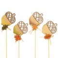 Floristik24 Flower sticks wooden acorns decoration autumn 7x10cm 12pcs