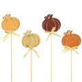 Floristik24 Flower stick wooden pumpkin decoration orange natural 6.5x7cm 12pcs