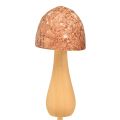 Floristik24 Flower plug mushroom decoration plug wood brown Ø2.5cm 8pcs