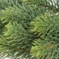 Floristik24 Artificial fir wreath green Christmas wreath Ø30cm