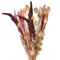 Floristik24 Dried flower bouquet grain nigella pink orange 50cm