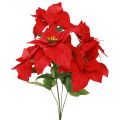 Floristik24 Poinsettia Christmas Star Red Artificial L55cm 2pcs